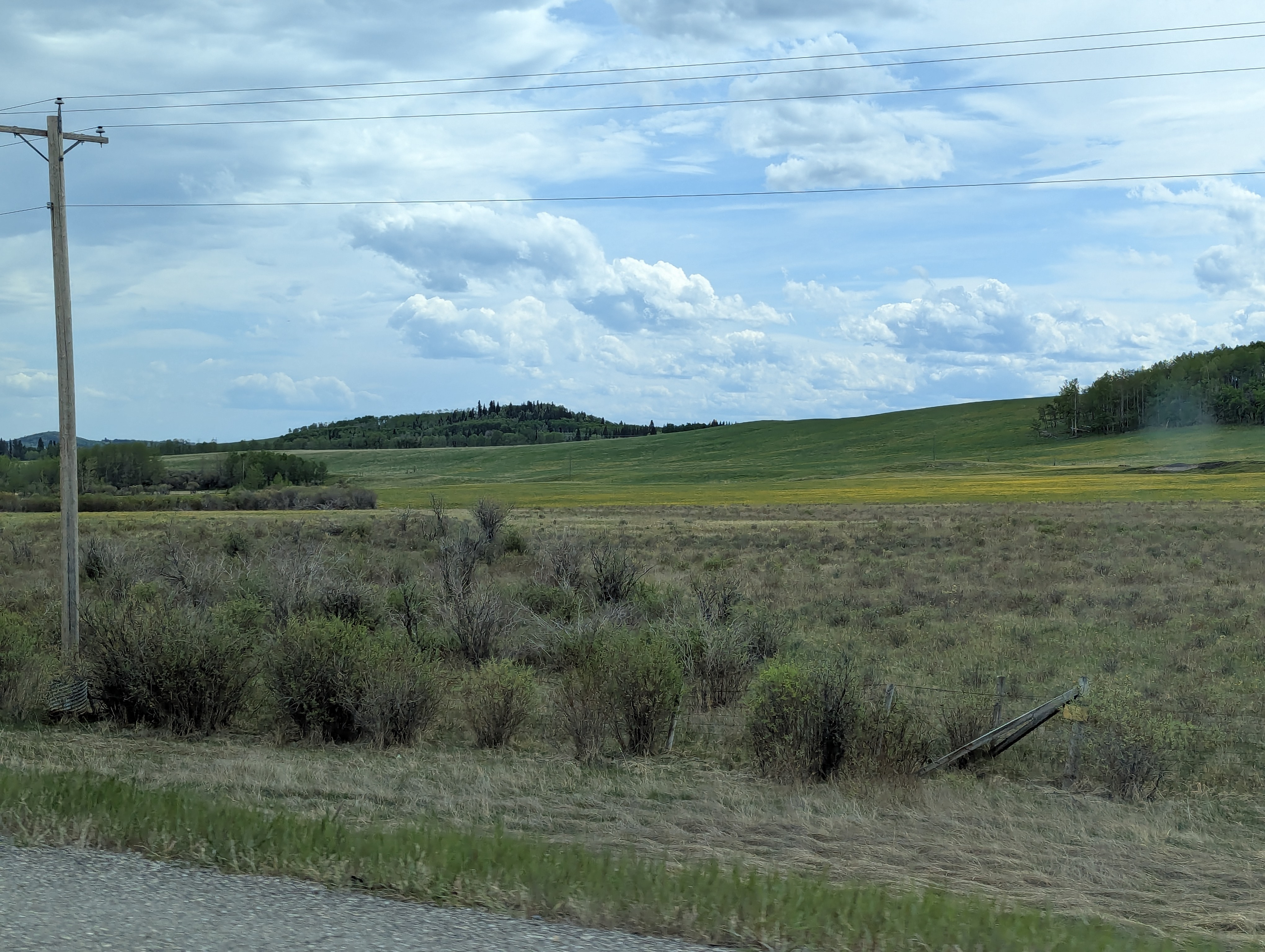 Birthday Trip to Canada, Canadian Rockies